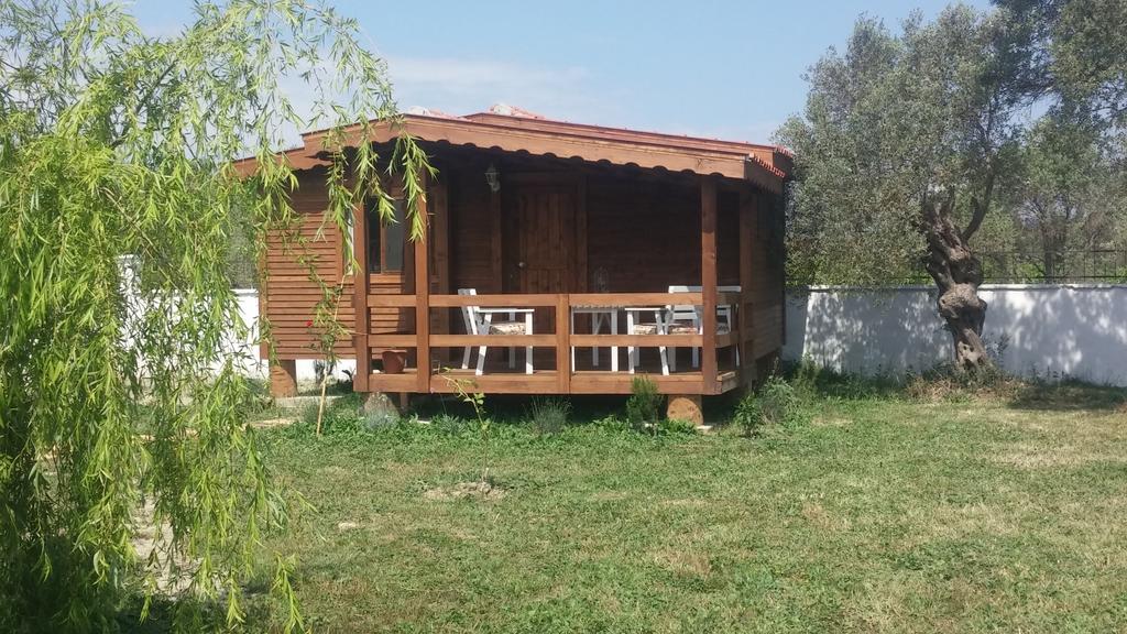 Liberta Guesthouse セェフェリヒサール 部屋 写真